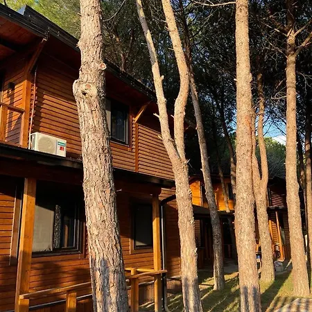 Apartment Mikpritja 1